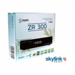 Synaps ZR 300
